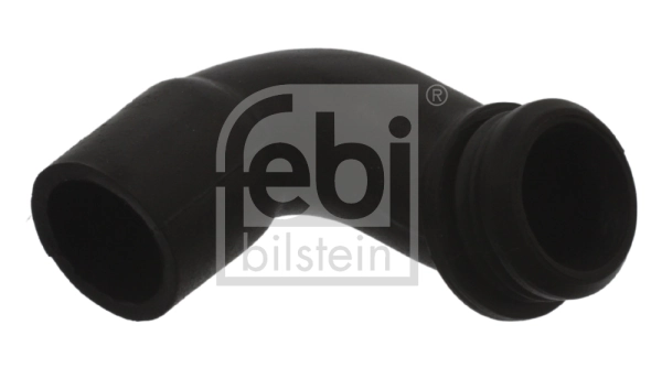 Hose, crankcase ventilation